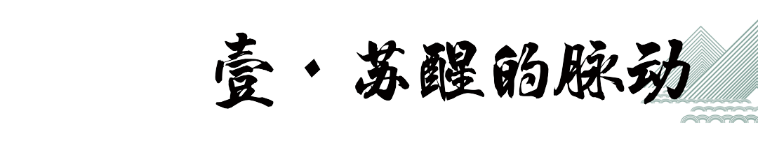 金秋品酒-黔莊龍酒