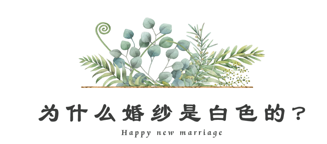 驚呆了！這些婚禮冷知識(shí)又讓我漲知識(shí)了