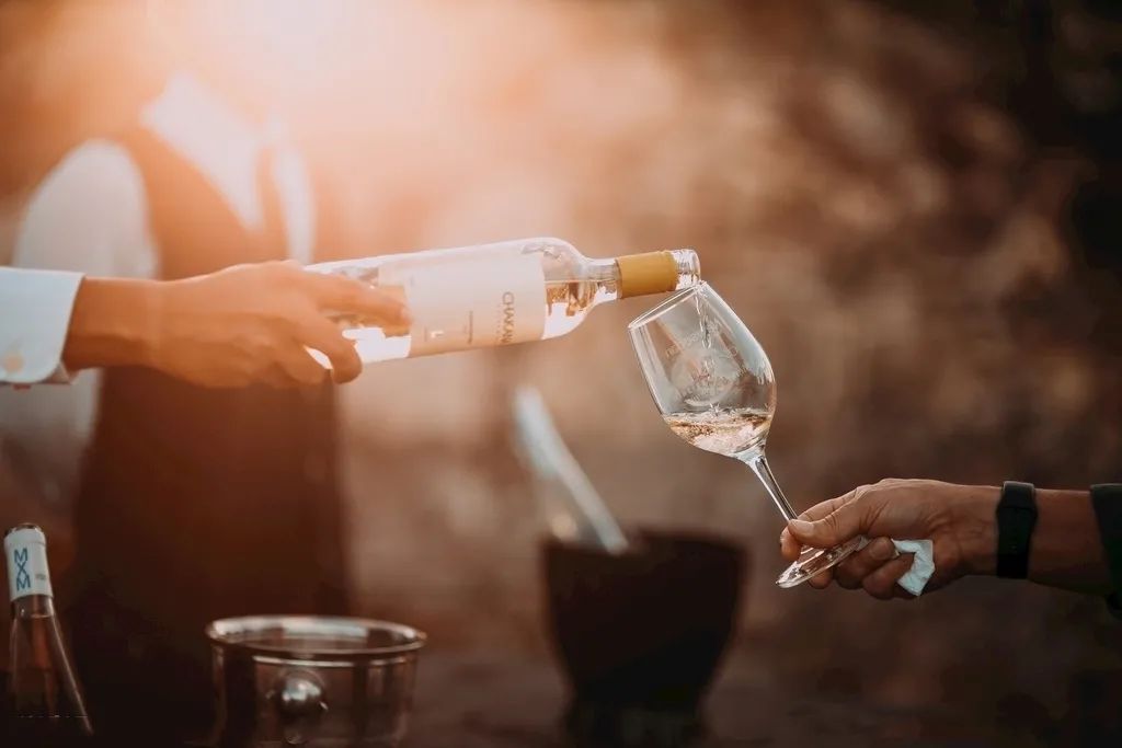 喝了這么多酒，你真的會倒酒嗎？