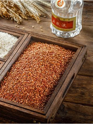 “單糧酒”和“多糧酒”有什么區(qū)別？