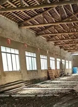 2021年至今，仁懷已關停白酒企業(yè)622家，填埋窖池