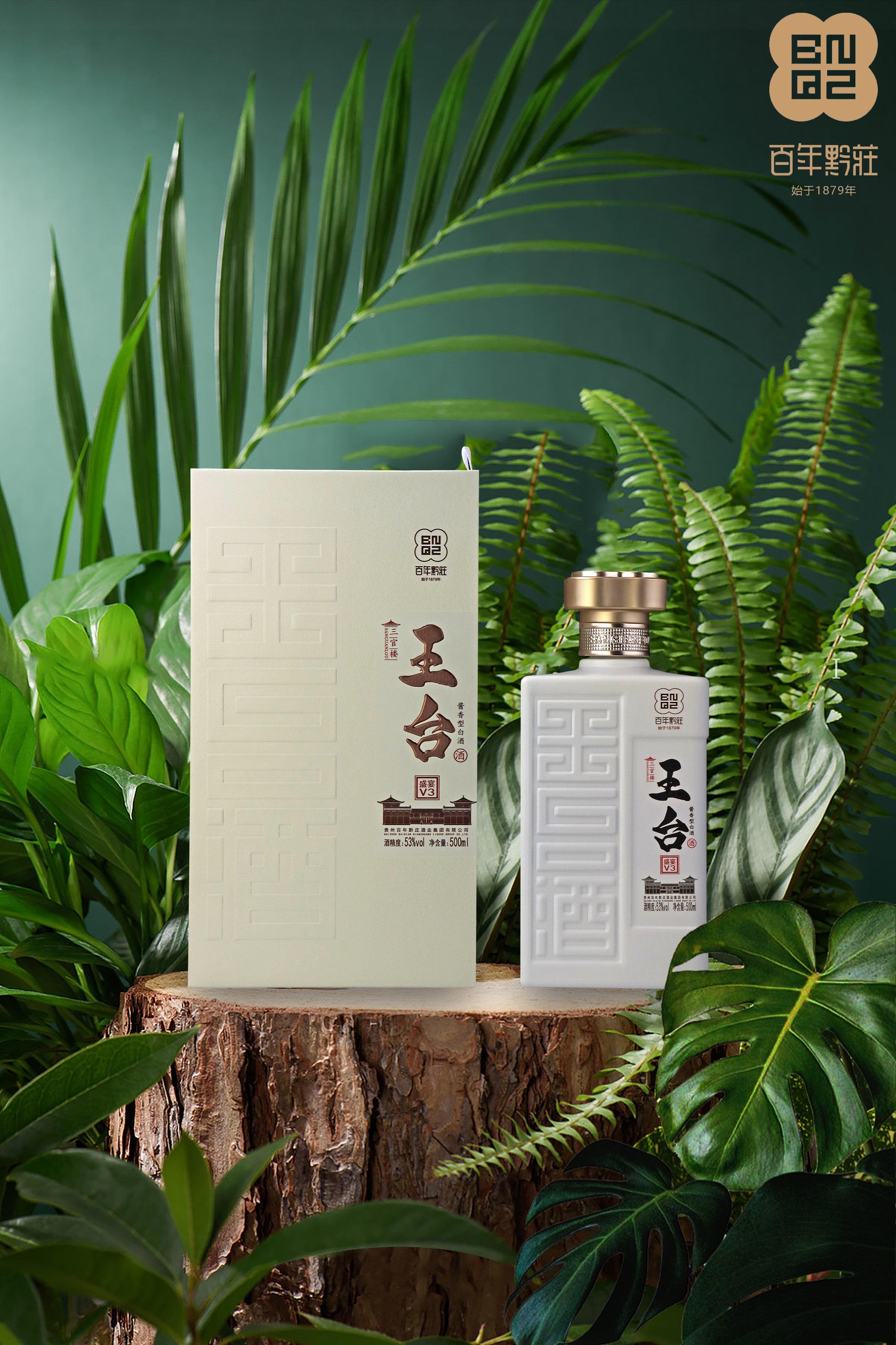 王臺(tái)-盛宴V3